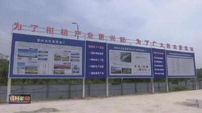 瞄准柑桔精深加工 推动全产业链发展