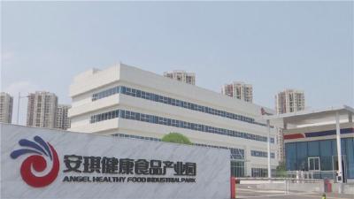 安琪酵母接入国家工业互联网标识解析体系