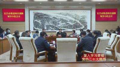 市推进科技创新领导小组召开会议