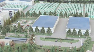 王国斌调研乡村振兴和农业产业化工作