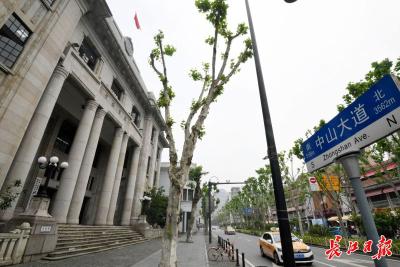 沿江—中山—解放—建设—发展—和谐—富强，汉口道路命名显现武汉“成长年轮”