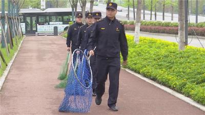 环境品质再提升 全力保障省运会