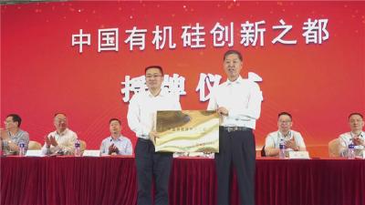 全国首个！猇亭区获评“中国有机硅创新之都”
