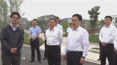 马泽江检查防汛工作并巡查长江宜昌段