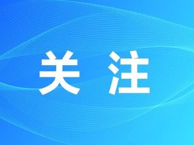 马泽江调研2023年国际划联龙舟世界杯筹备工作
