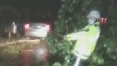 感谢有你 护我平安 大树倒伏快速路 交警拉树保畅通