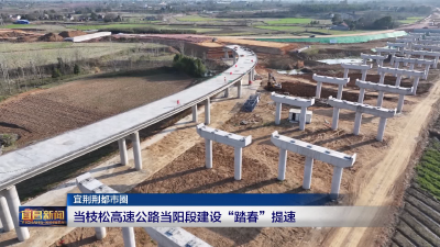 当枝松高速公路当阳段建设“踏春”提速