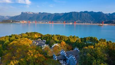 秭归搭平台促“双赢”  山货出山 人才回乡