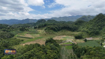 人大视窗 到矿区 赏山水