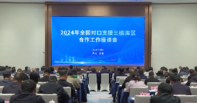 2024全国对口支援三峡库区合作工作座谈会在宜昌召开