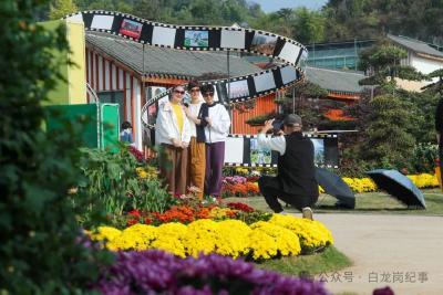 以花为媒，绘就乡村振兴新画卷