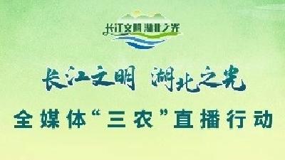 长江文明 湖北之光 全媒体“三农”直播行动蕲春站