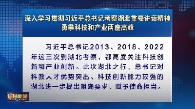 深入学习贯彻习近平总书记考察湖北重要讲话精神 勇攀科技和产业两座高峰