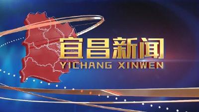 《宜昌新闻》2024年11月21日