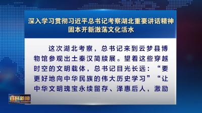 深入学习贯彻习近平总书记考察湖北重要讲话精神 固本开新激荡文化活水 