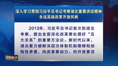 深入学习贯彻习近平总书记考察湖北重要讲话精神 永远高扬改革开放风帆