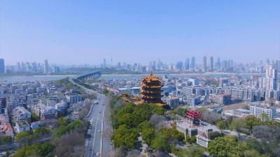 王忠林到花湖国际机场调研并召开现场办公会