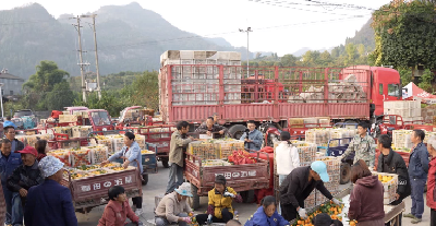 人大视窗 “5号见”  人大代表深入一线贴心助农