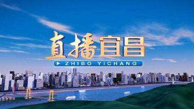 《直播宜昌》2024年11月23日