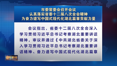 市委常委会召开会议 认真落实省委十二届八次全会精神 为奋力谱写中国式现代化湖北篇章贡献力量