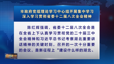 市政府党组理论学习中心组开展集中学习 深入学习贯彻省委十二届八次全会精神