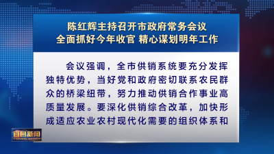 陈红辉主持召开市政府常务会议 全面抓好今年收官 精心谋划明年工作