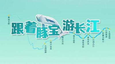 它，从四千年前“游”来！