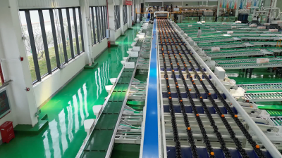 2024年宜昌柑橘鲜果出口逾27万吨