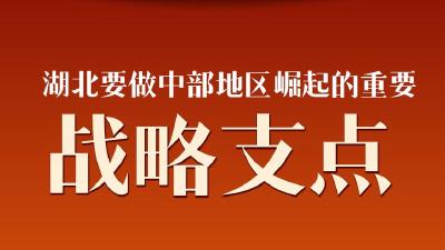 支点湖北，怎么“拼”？  
