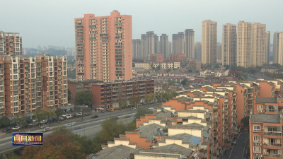 基层治理更智慧更高效 乡镇（街道）综合服务信息化平台全市覆盖