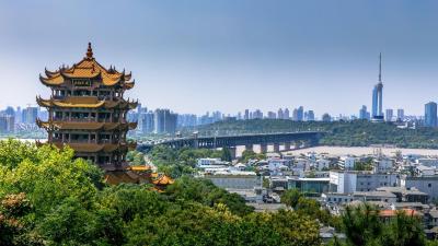 王忠林在汉调研重大项目建设情况
