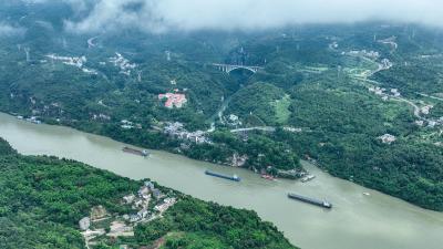 陈红辉调研三峡水运新通道时强调 全力做好建设服务 保障项目早日开工  