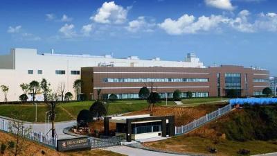 李杰：推广落实慢性癌痛患者自控镇痛技术  