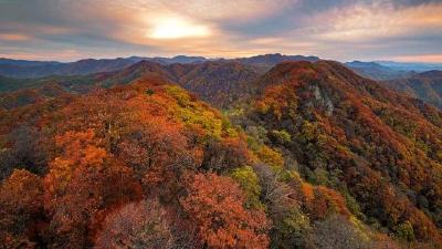 全市安全生产和森林防灭火视频会议召开 深入查险除患 筑牢安全防线