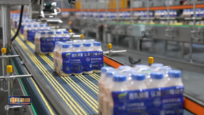 聚力建支点 夺取开门红 均瑶健康：日产乳酸菌饮料400吨