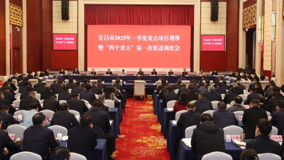 宜昌市2025年一季度重点项目观摩暨“四个重大”第一次推进调度会举行