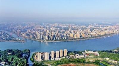 陈红辉参加市政府办公室机关第一党支部2024年度组织生活会  