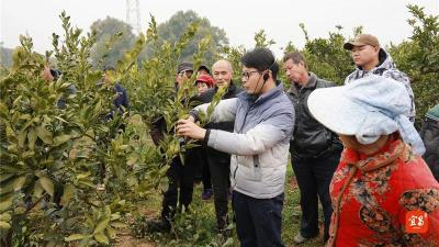 发挥技术示范带动作用 促进产业发展农民增收 宜昌近千农民有了技术职称