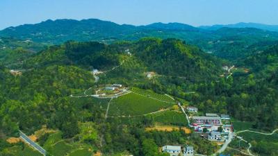 宜都近800米高山上建起水厂 为1.4万余居民“解渴”