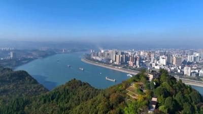 政务服务AI咨询平台上线 可解答执照办理、许可备案等  