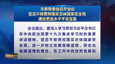 市委常委会召开会议 坚定不移贯彻落实总体国家安全观 建设更高水平平安宜昌