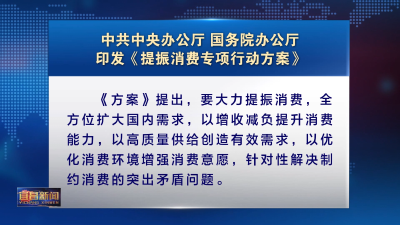 中共中央办公厅 国务院办公厅印发《提振消费专项行动方案》