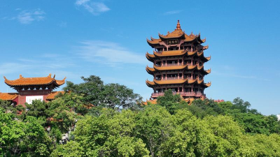 湖北代表团传达学习习近平总书记重要讲话精神 扛牢经济大省责任担当 王忠林主持并讲话  