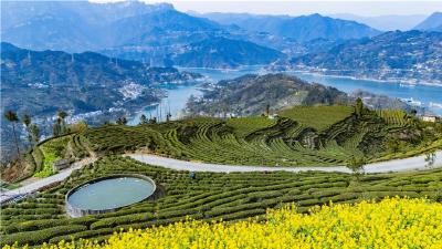 秭归“三新”破题山区施肥难 化肥用量五年降7.89% 耕地质量每年提升  