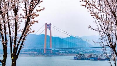 长江宜昌段首次采用虚拟航标 为船舶通航安全、涉水工程平稳推进加上“双保险”  