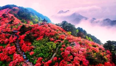 汪文斌发文！武汉这一幕，震撼世界！  