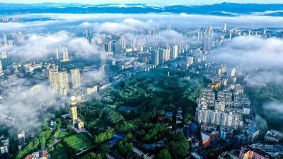 市政府召开政府系统群众身边不正之风和腐败问题集中整治推进会议 更大力度推动集中整治走深走实见行见效  