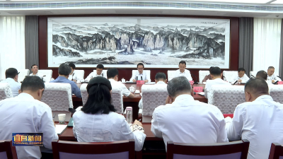市政府召开政府系统群众身边不正之风和腐败问题集中整治推进会议 更大力度推动集中整治走深走实见行见效