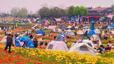 赏花、露营、夜游……清明假期，武汉旅游热度居全国前十 