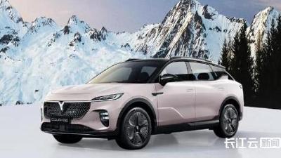 从一项数据，看岚图缘何赢得国际市场  